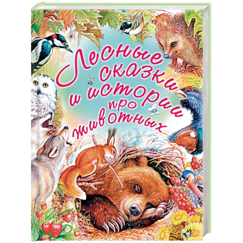 Лесные сказки и истории про животных