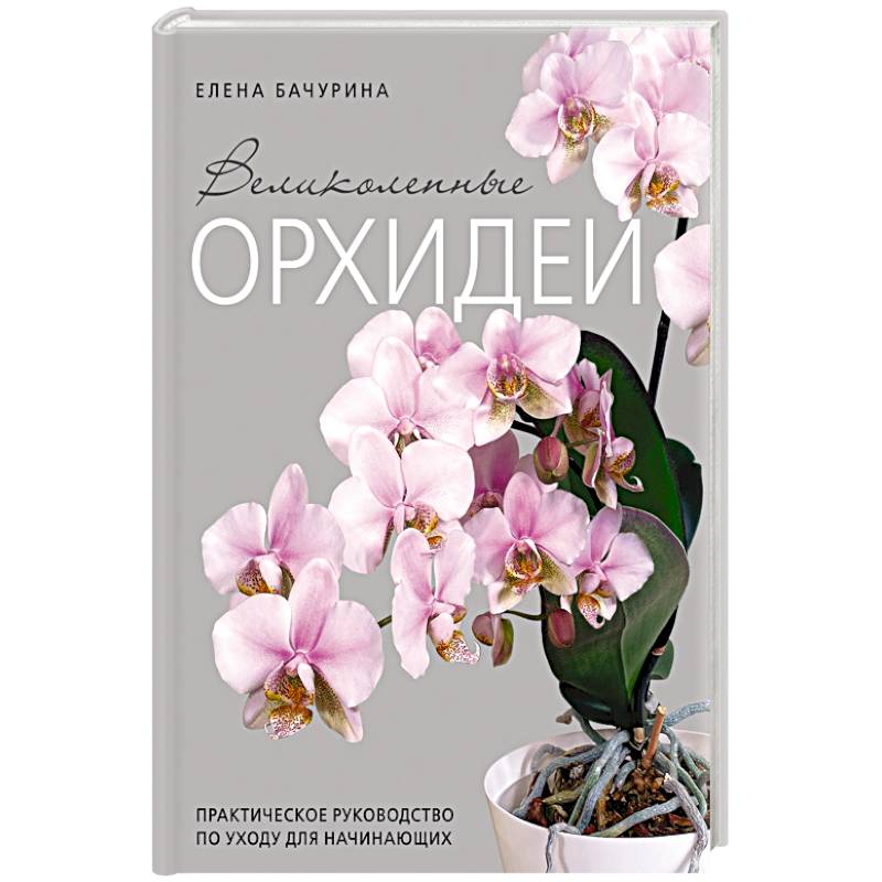 Великолепные орхидеи. Практичное руководство по уходу для начинающих