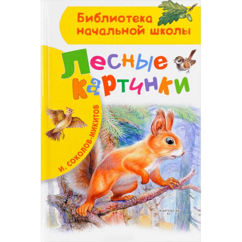 Лесные картинки