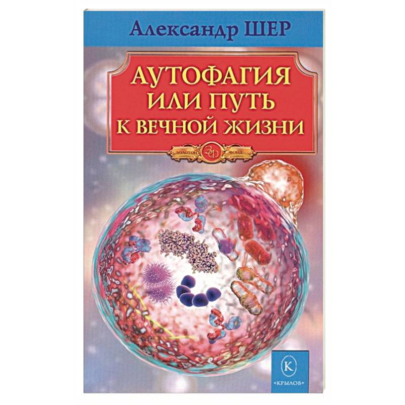 Аутофагия, или путь к вечной жизни