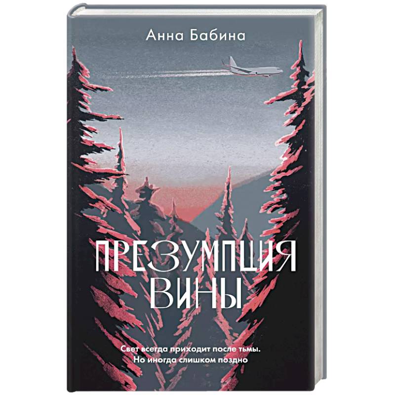 Презумпция вины