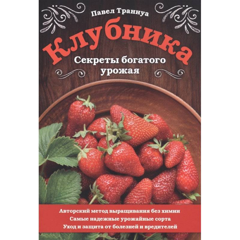 Клубника. Секреты богатого урожая