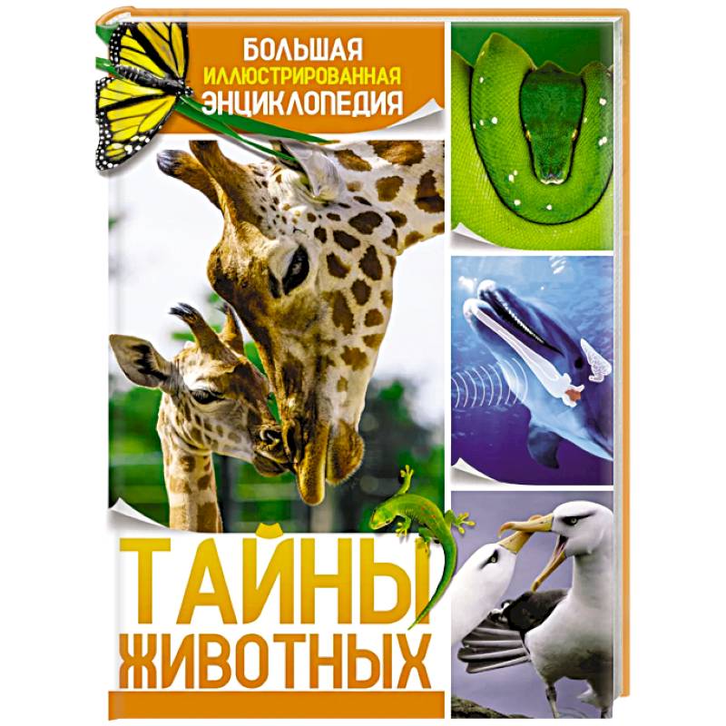 Тайна животных. Большая иллюстрированная энциклопедия