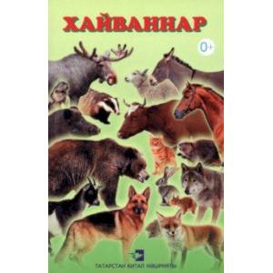 Хайваннар. Дидактик материаллар