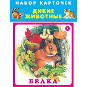 Дикие животные. Набор карточек