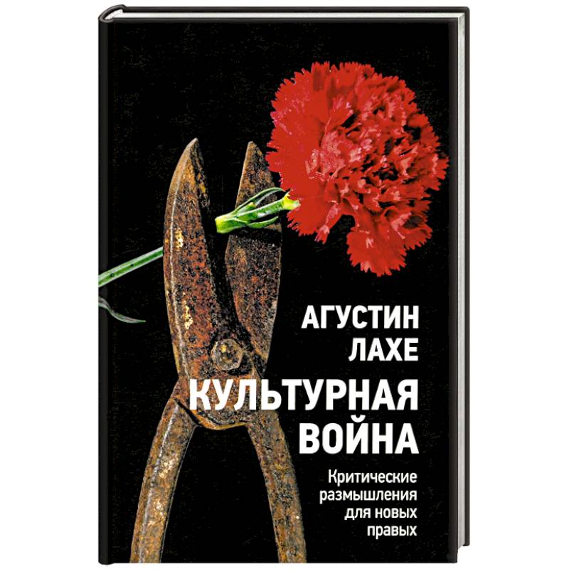 Культурная война: Критическое размышление