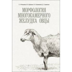 Морфология многокамерного желудка овцы. Монография