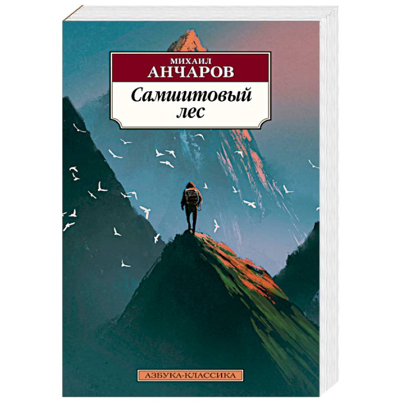 Самшитовый лес