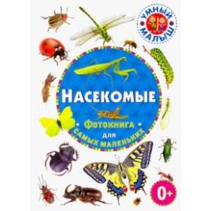 Насекомые. Фотокнига для самых маленьких