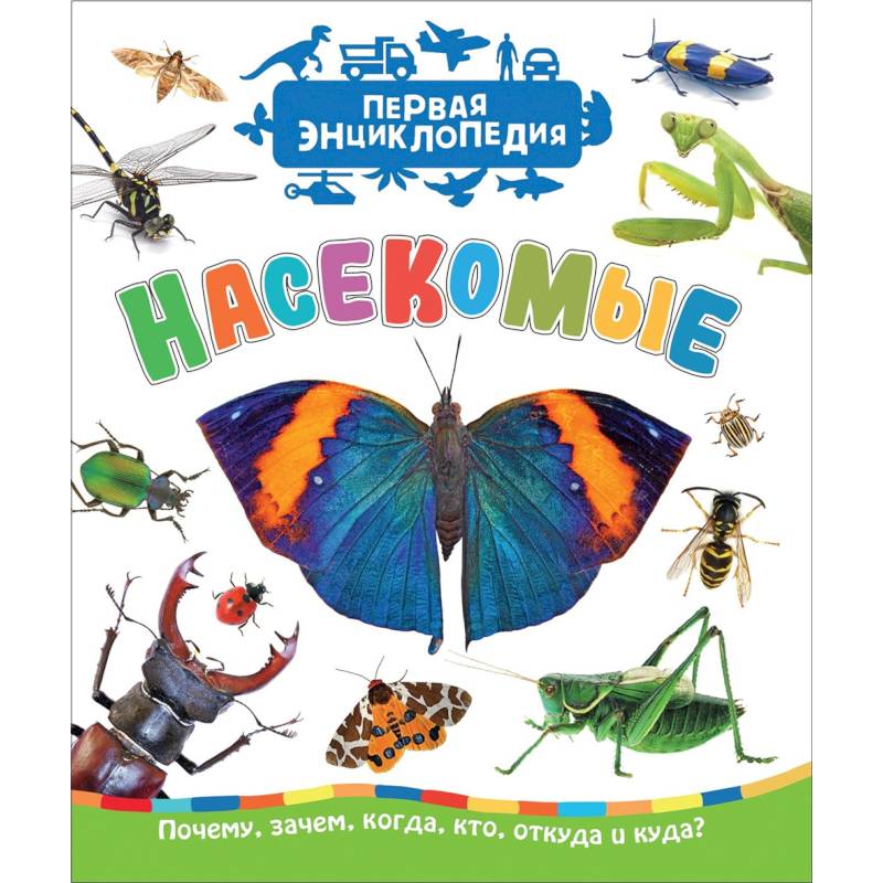 Насекомые