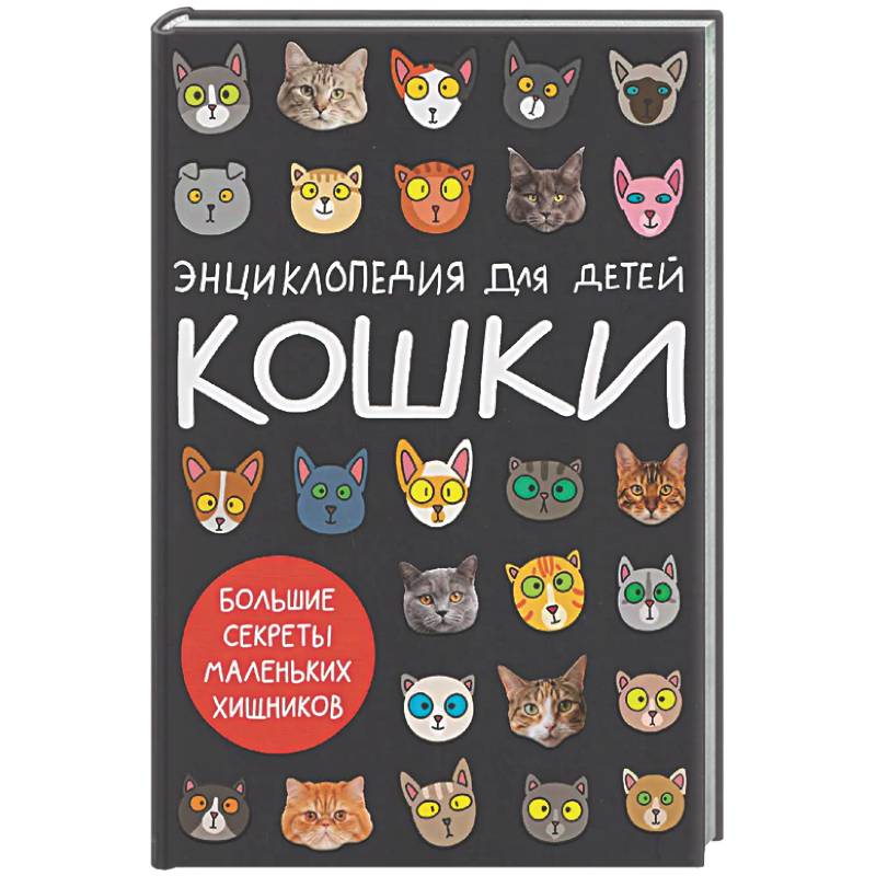 Кошки.Большие секреты маленьких хищников