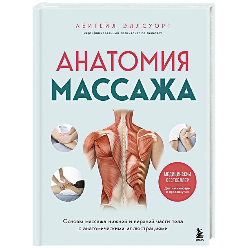 Анатомия массажа. Основы массажа нижней и верхней части тела с анатомическими иллюстрациями