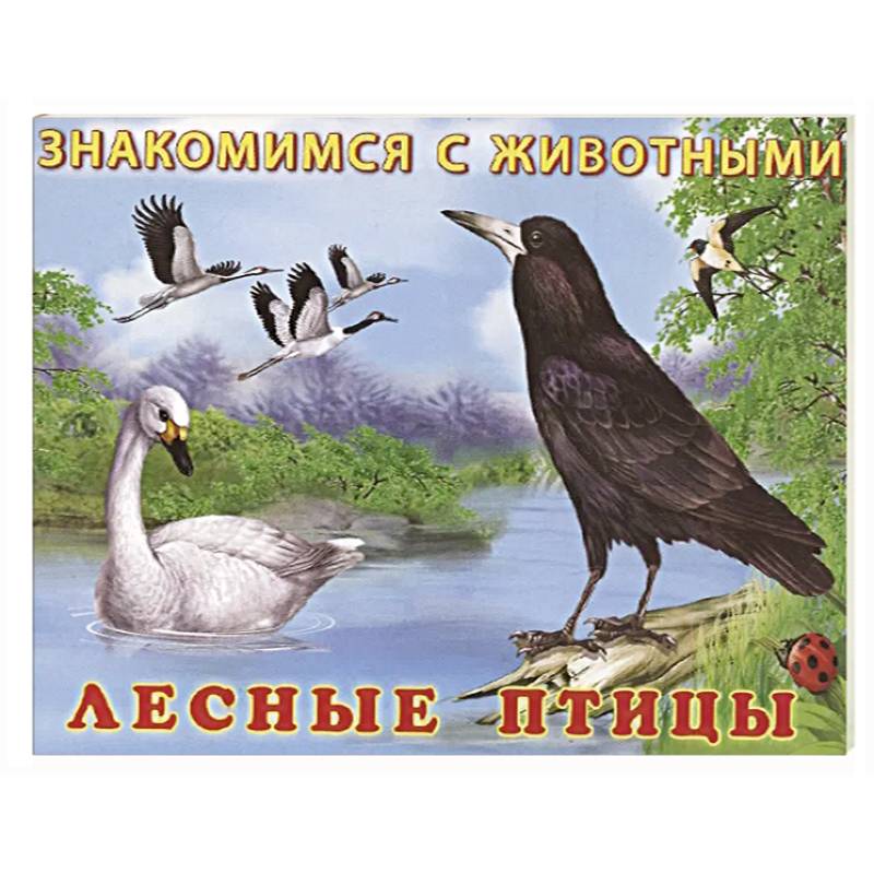Лесные птицы