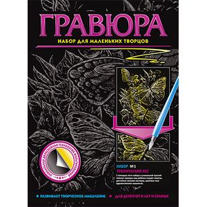 Гравюра №1 Тропический лес Бабочки