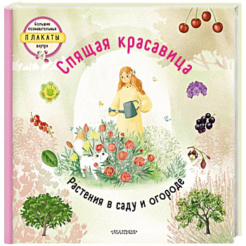 Спящая красавица