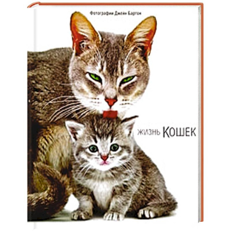Книги, книга Жизнь кошек купить по скидке