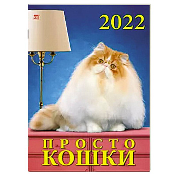 2022 Календарь Просто кошки