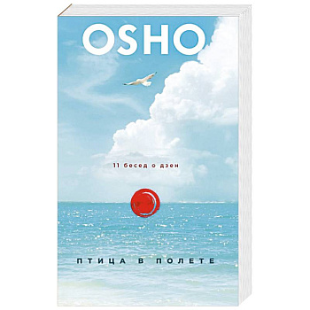 Птица в полете. 11 бесед о дзен