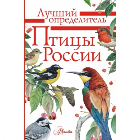 Познавательная литература, книга Птицы России купить по скидке