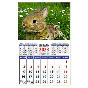 Календарь Год кролика. Забавный малыш в траве на 2023 год