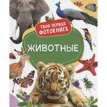 Животный и растительный мир, книга Животные купить по скидке