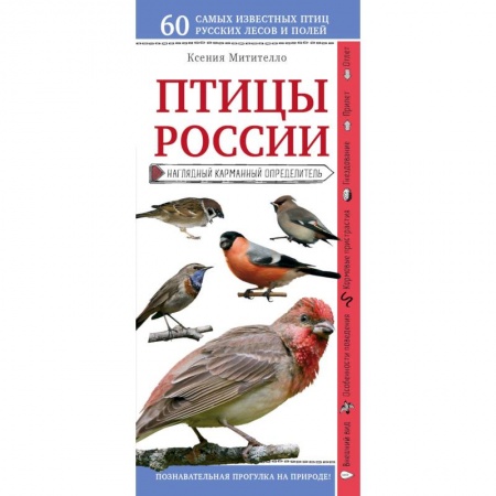 Зоология, книга Птицы России. Наглядный карманный определитель купить по скидке
