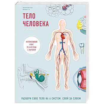 Тело человека. Детский интерактивный атлас по анатомии с вырубкой. Разбери свое тело на 6 систем. Слой за слоем