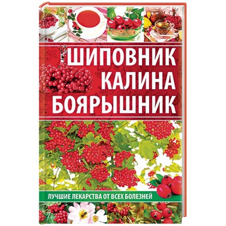 Деревья, кустарники, орехи, книга Шиповник, калина, боярышник. Лучшие лекарства от всех болезней купить по скидке