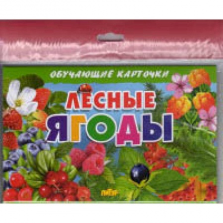 Окружающий мир, книга Лесные ягоды купить по скидке