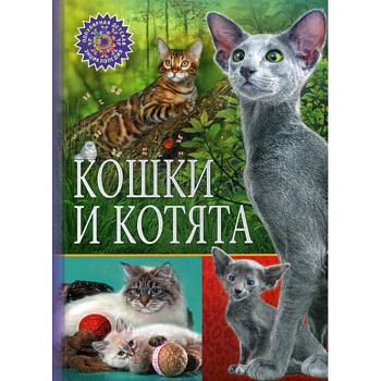 Кошки и котята