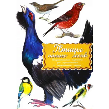 Дидактические карточки. Птицы наших лесов