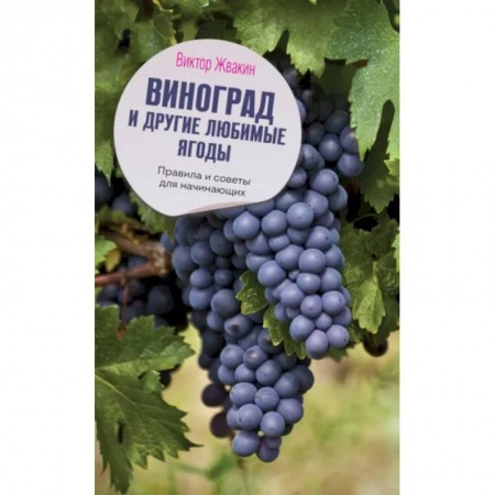 Плодовые и ягодные культуры, книга Виноград и другие любимые ягоды. Правила и советы для начинающих купить по скидке