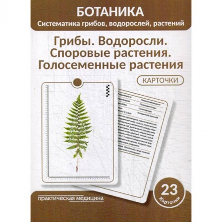 Ботаника, книга Ботаника. Систематика грибов, водорослей, растений. Грибы. Водоросли. Споровые растения. Голосеменные растения купить по скидке