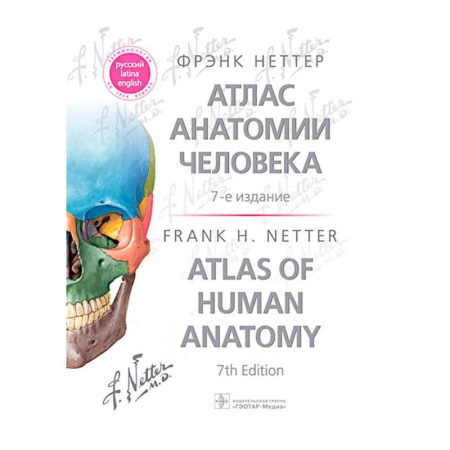 Анатомия и физиология человека, книга Атлас анатомии человека. 7-е изд купить по скидке