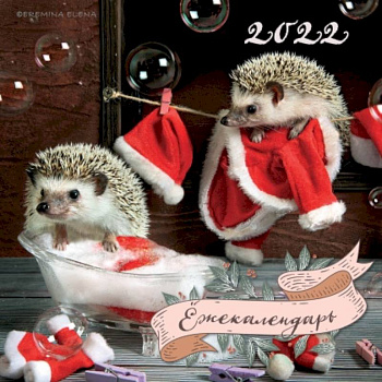 Ёжекалендарь (Санта Клаус). Календарь настенный на 2022 год