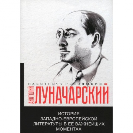 Филологические науки в целом. Частные филологии, книга История западно-европейской литературы в ее важнейших моментах купить по скидке