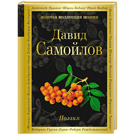 Русская поэзия, книга Поэзия купить по скидке