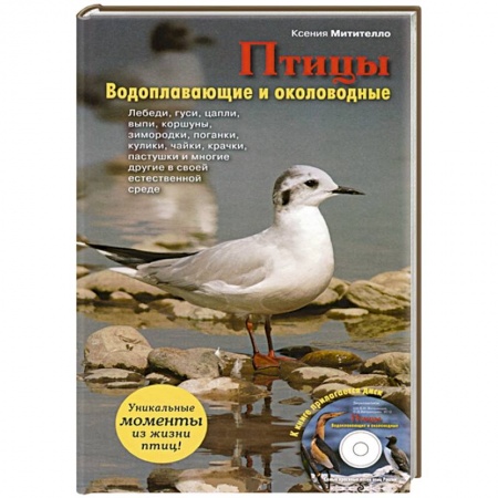 Книги, книга Птицы. Водоплавающие и околоводные (+CD) купить по скидке
