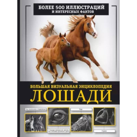 Другие виды животных, книга Лошади. Большая визуальная энциклопедия купить по скидке