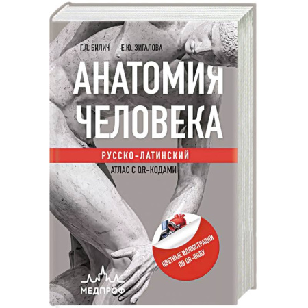 Здоровье, медицинская литература, книга Анатомия человека: Русско-латинский атлас с QR-кодами купить по скидке