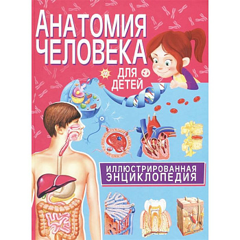 Анатомия человека для детей. Иллюстрированная энциклопедия