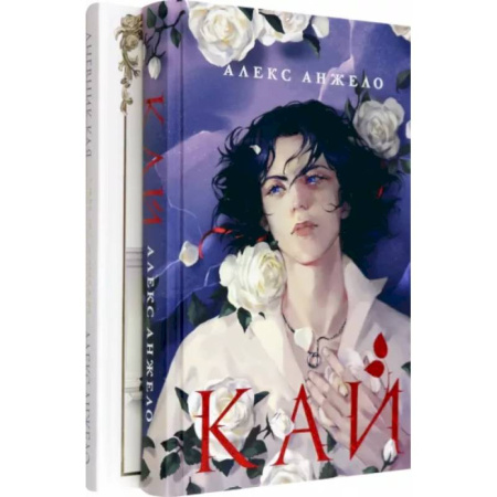 Зарубежное фэнтези, книга Комплект Кай + Арт-блокнот Дневник Кая купить по скидке