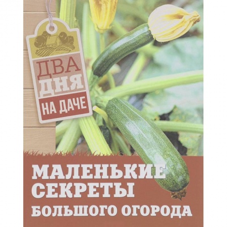 Общие работы по садоводству, книга Маленькие секреты большого огорода купить по скидке