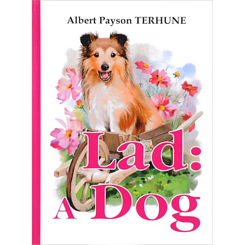 Lad. A Dog