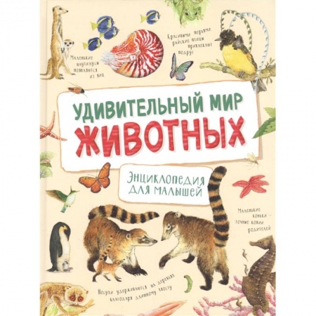 Животный и растительный мир, книга Удивительный мир животных. Энциклопедия для малышей. Ренне купить по скидке